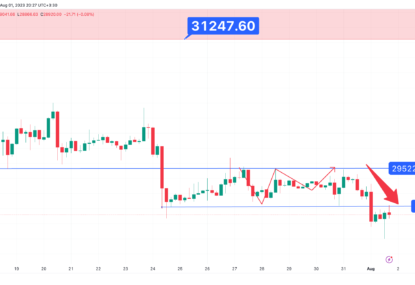 تحلیل تکنیکال بیت کوین (BTC) ۱۴۰۲/۰۵/۱۰،شکست سطح حمایت ۲۹۰۰۰ دلار