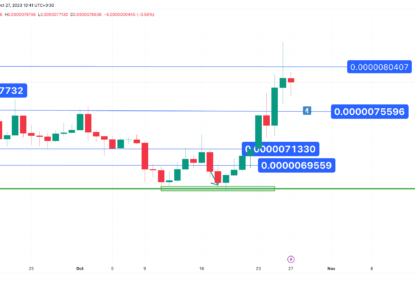 تحلیل تکنیکال شیبااینو ۱۴۰۲/۰۸/۰۴،اصلاح کوتاه مدت قیمت