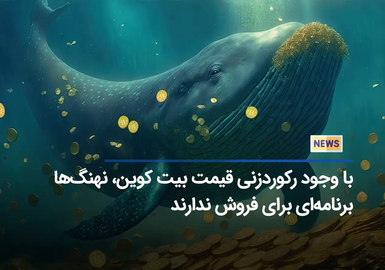 با وجود رکوردزنی قیمت بیت کوین، نهنگ‌ها برنامه‌ای برای فروش ندارند