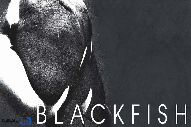 مستند Blackfish