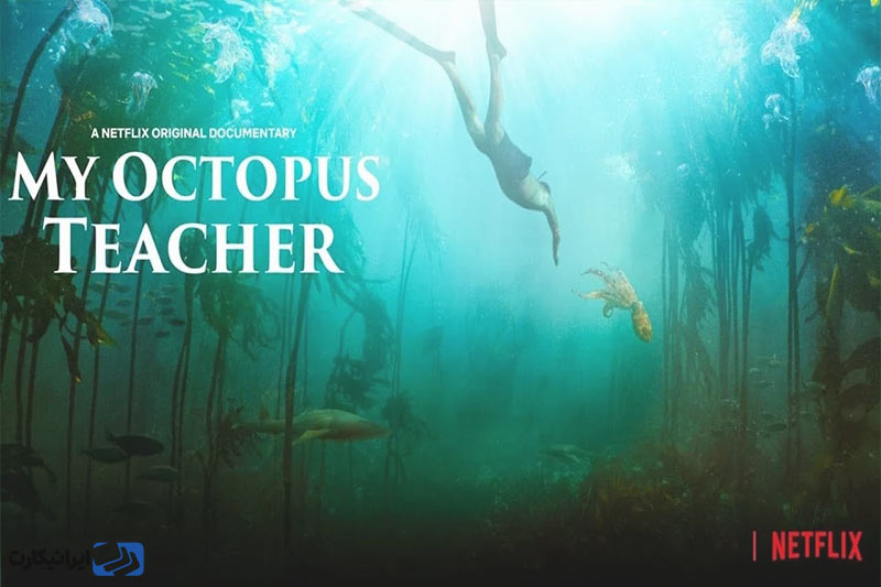 My Octopus Teacher از بهترین مستندهای نتفلیکس